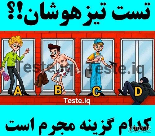 گربه مخفی شده در تصویر را پیدا کن!