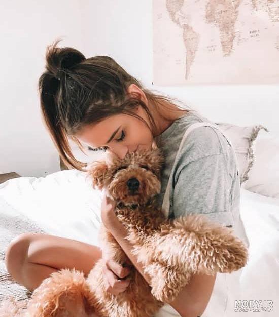 انواع نژاد سگ موجود در ایران