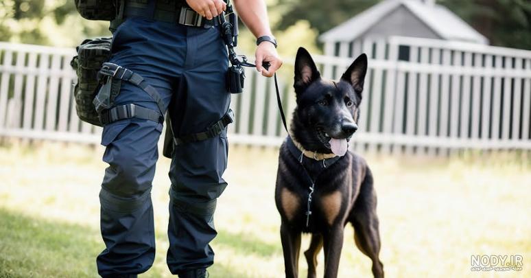 انواع نژاد سگ موجود در ایران