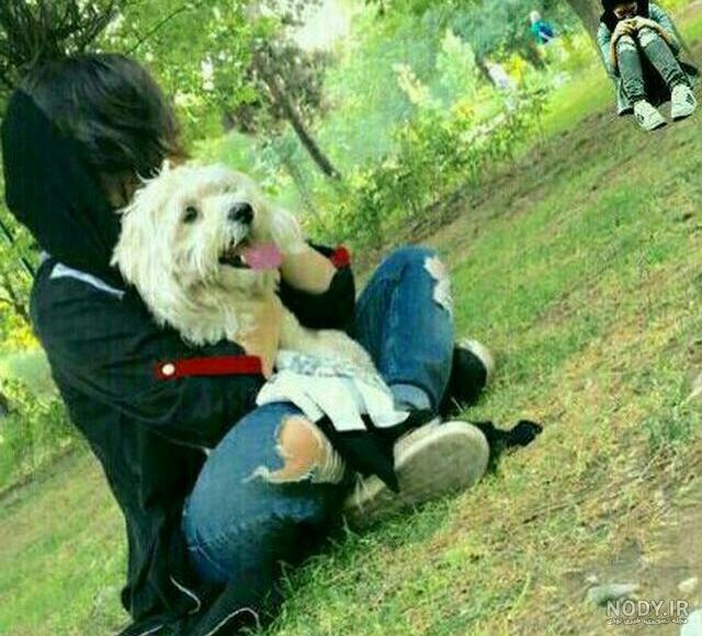 انواع نژاد سگ موجود در ایران