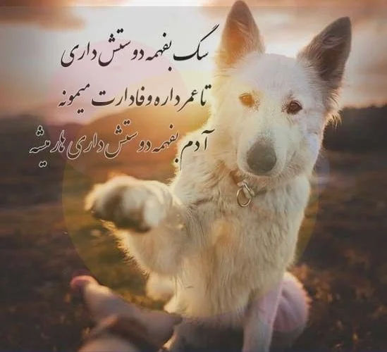 عکس خفن عکس دختر با سگ پاکوتاه