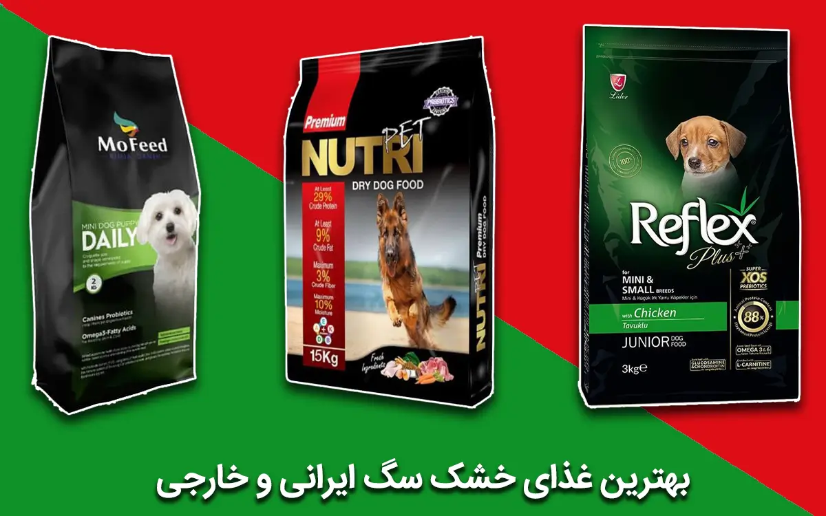 12 مدل بهترین غذای خشک سگ ایرانی و خارجی با قیمت عالی 12 مدل بهترین غذای خشک سگ ایرانی و خارجی با قیمت عالی