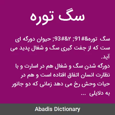 آشنایی با نحوه زندگی روباه ها آشنایی با نحوه زندگی روباه ها