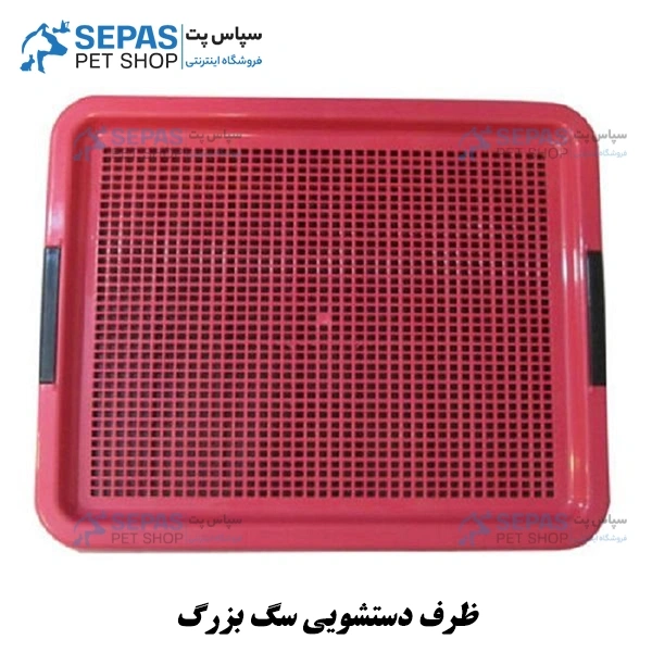 آموزش جای دستشویی به سگ بیرون از خانه آموزش جای دستشویی به سگ بیرون از خانه