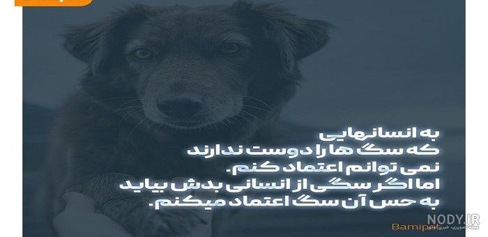 بالاخره سگ گرفتم | تبادل نظر نی نی سایت