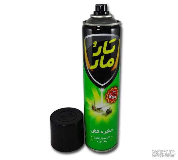 بهترین سم برای سوسک چیست؟ - خبرآنلاین بهترین سم برای سوسک چیست؟ - خبرآنلاین