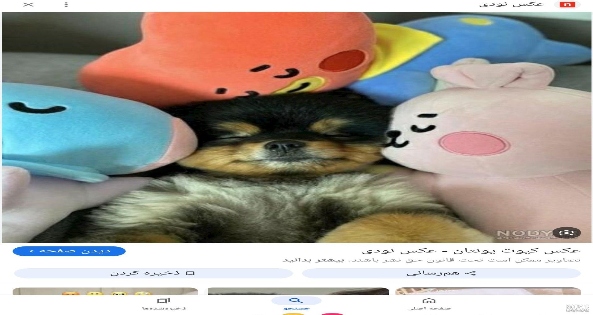 حیوان خونگی اعضای بی تی اس/آیا تهیونگ یوزپلنگ داره؟/حیوان مورد علاقه بی تی اس حیوان خونگی اعضای بی تی اس/آیا تهیونگ یوزپلنگ داره؟/حیوان مورد علاقه بی تی اس