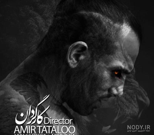 دانلود آهنگ بار اومدن مردا بی رگ بدش میاد از شهرداری سگ امیر تتلو | Hit Ava دانلود آهنگ بار اومدن مردا بی رگ بدش میاد از شهرداری سگ امیر تتلو | Hit Ava
