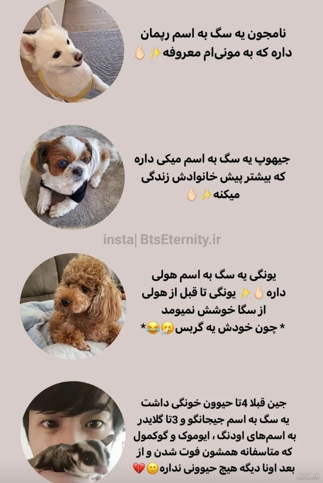 سگ اعضای بی تی اس 🐶 - عکس ویسگون
