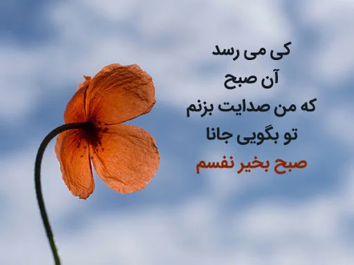 صبح بخیر های عاشقانه به همسر+ عکس نوشته های جدید صبح بخیر های عاشقانه به همسر+ عکس نوشته های جدید