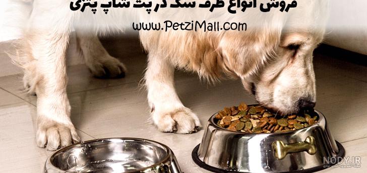 ظرف غذا آرام خور سگ و گربه مدل هویج | رابینسه پت شاپ آنلاین ظرف غذا آرام خور سگ و گربه مدل هویج | رابینسه پت شاپ آنلاین