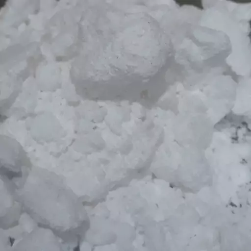 عکس سفیداب پنبه رو