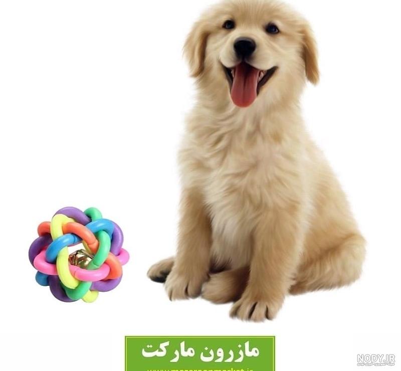 عکس سگ رنگین کمون