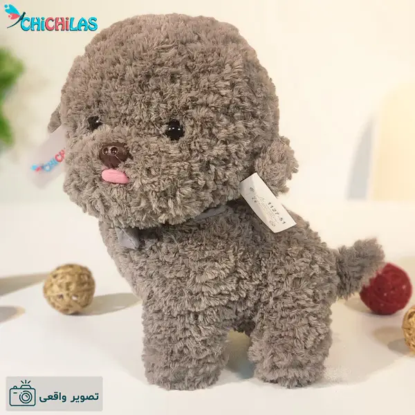 عکس سگ پشمالو طوسی