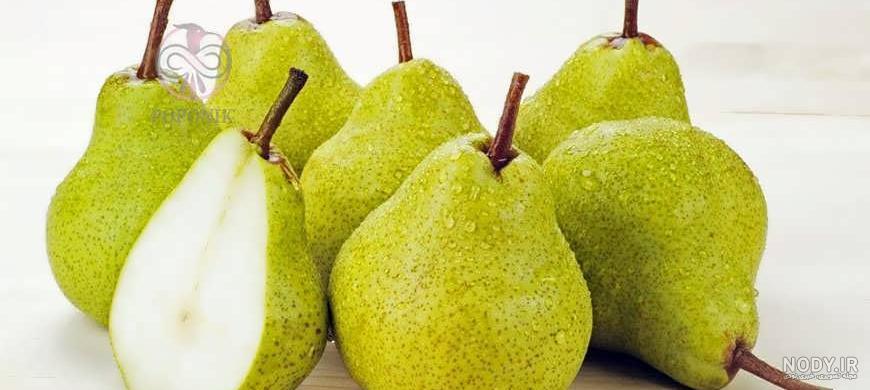 عکس سیاه سفید گلابی