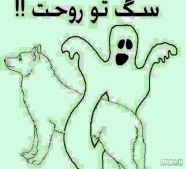 عکس طنز سگ تو روحت عکس طنز سگ تو روحت