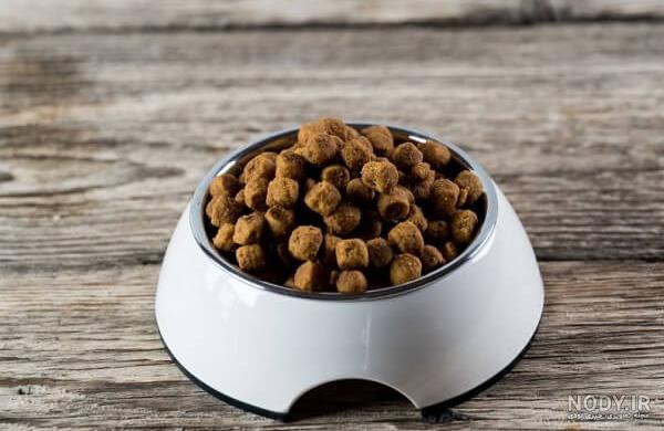 عکس نقاشی ظرف غذای سگ - عکس نودی عکس نقاشی ظرف غذای سگ - عکس نودی