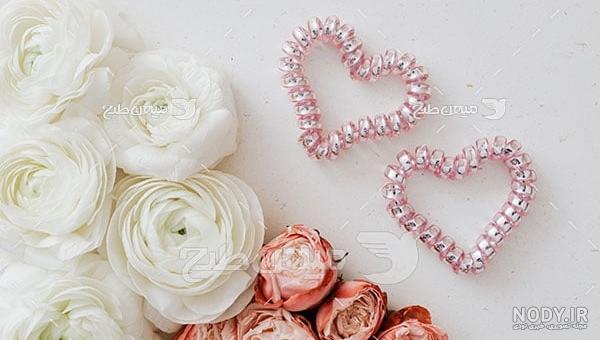 عکس گل سفید برای پروفایل عکس گل سفید برای پروفایل