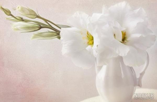 عکس گل سیاه سفید برای پروفایل عکس گل سیاه سفید برای پروفایل
