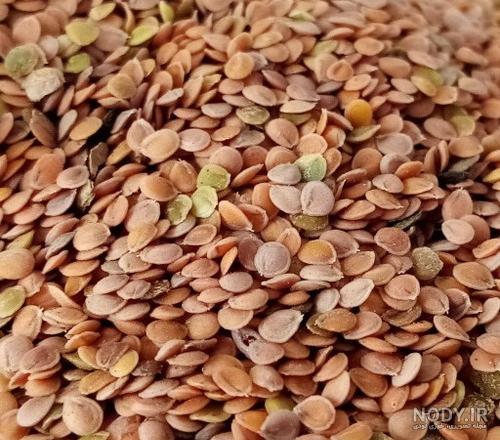 قیمت و خرید پودر سفیدآب پنبه رو ضد عرق و بوی بد بدن
