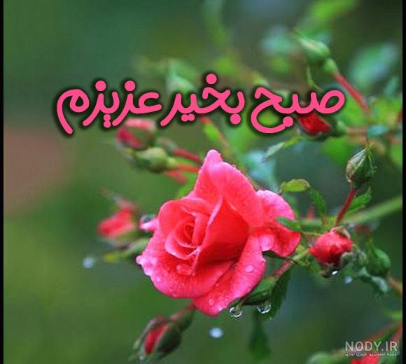 متن صبح بخیر رفیق؛ جملات خاص و زیبای صبح بخیر با انرژی به دوستان