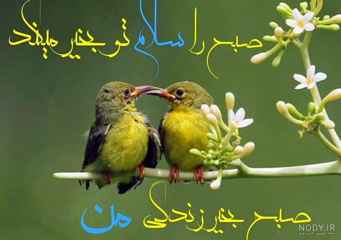 متن صبح بخیر عاشقانه جدید ❤️ عکس سلام صبحت بخیر عشقم - ماگرتا متن صبح بخیر عاشقانه جدید ❤️ عکس سلام صبحت بخیر عشقم - ماگرتا