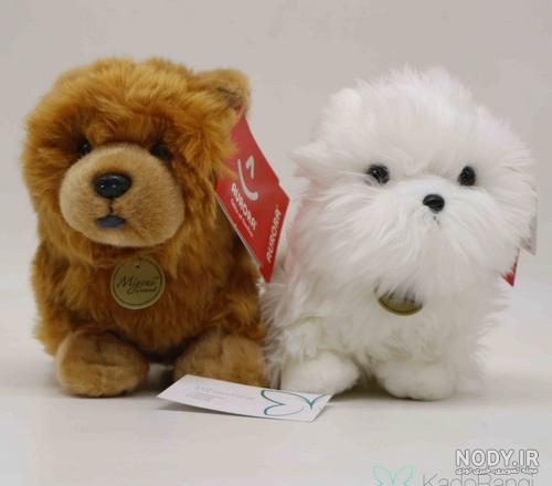 معرفی کامل نژاد سگ پودل poodle dog + نگهداری از سگ پودل مینیاتوری معرفی کامل نژاد سگ پودل poodle dog + نگهداری از سگ پودل مینیاتوری