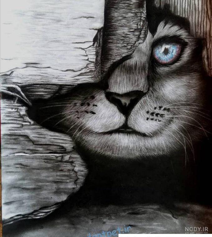نقاشی گربه سیاه ❤️ [ بهترین تصاویر ]