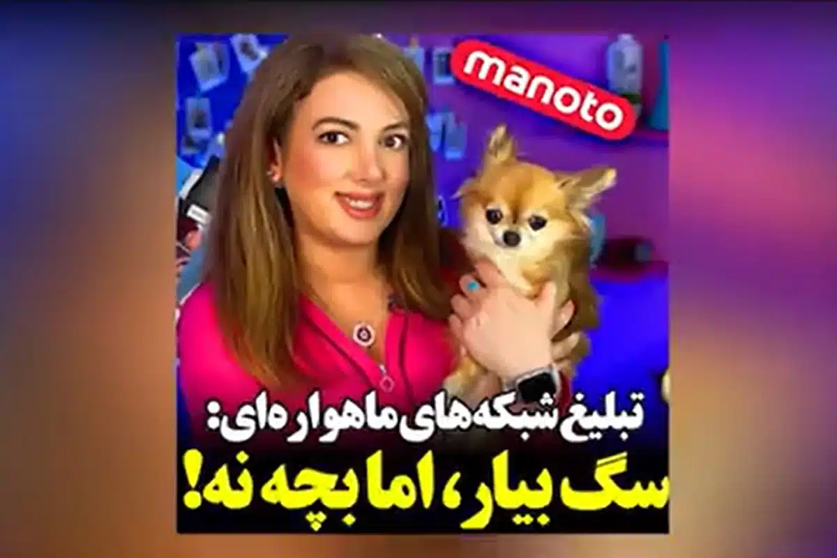 هنگام حمله سگ چه کنیم؟ هنگام حمله سگ چه کنیم؟