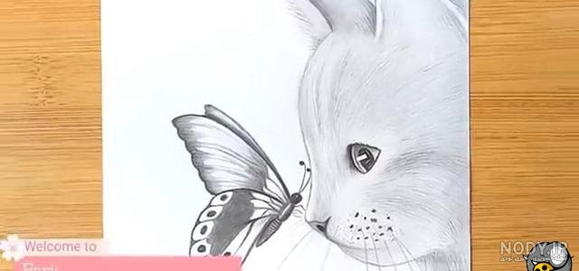 ۳۰ عکس دختر کفشدوزکی و گربه سیاه برای پروفایل و پس زمینه گوشی ۳۰ عکس دختر کفشدوزکی و گربه سیاه برای پروفایل و پس زمینه گوشی