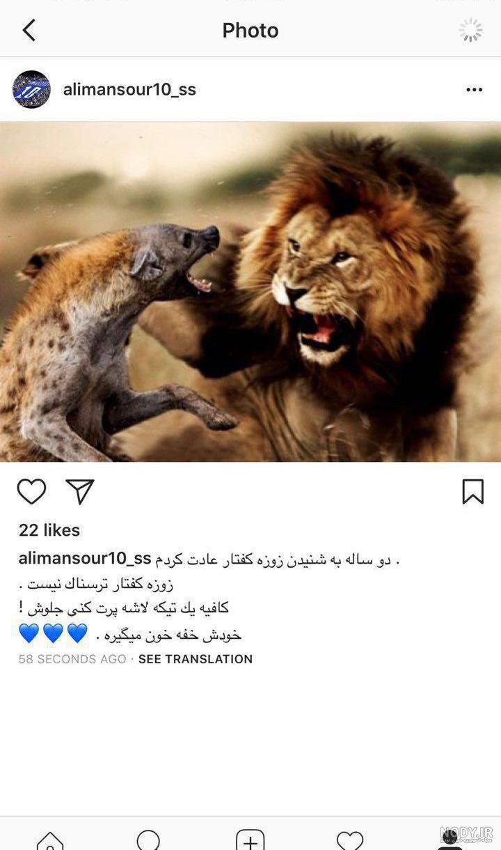 19 عکس از دنیای شگفت‌انگیز کفتارها و زیبایی‌های آن‌ها