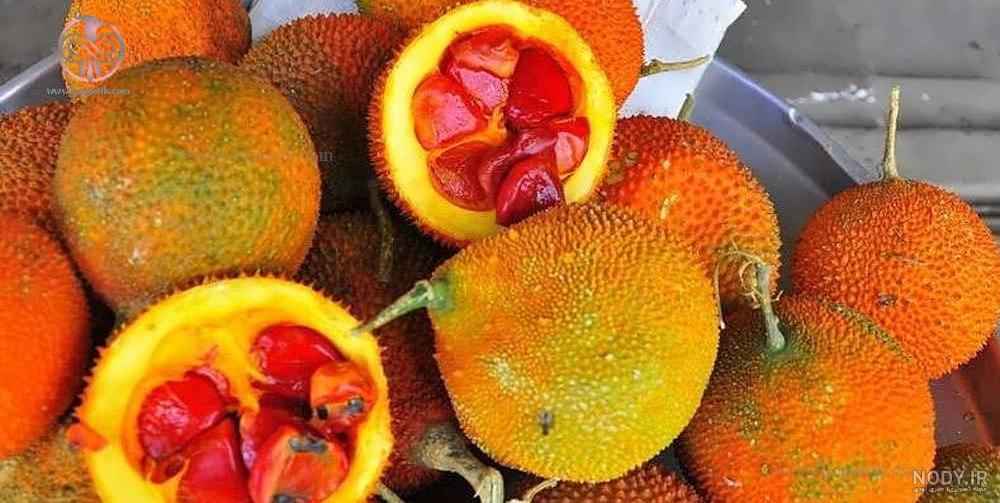 خرید و قیمت طالبی شاه‌ پسند | ترب