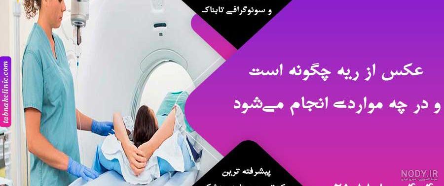 ریه و سیستم تنفسی — هر آنچه باید بدانید – فرادرس - مجله‌