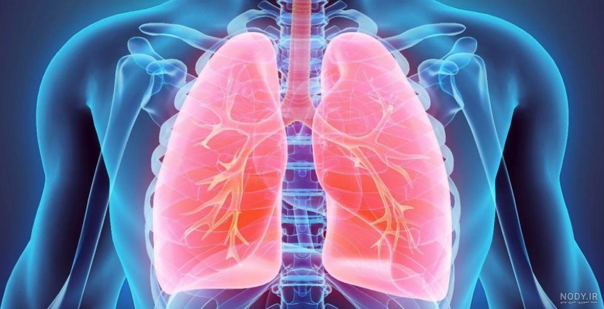 سی تی اسکن ریه چیست؟ تشخیص بیماری و ناهنجاری ها - مرکز تصویربرداری دکتر تقی لو سی تی اسکن ریه چیست؟ تشخیص بیماری و ناهنجاری ها - مرکز تصویربرداری دکتر تقی لو