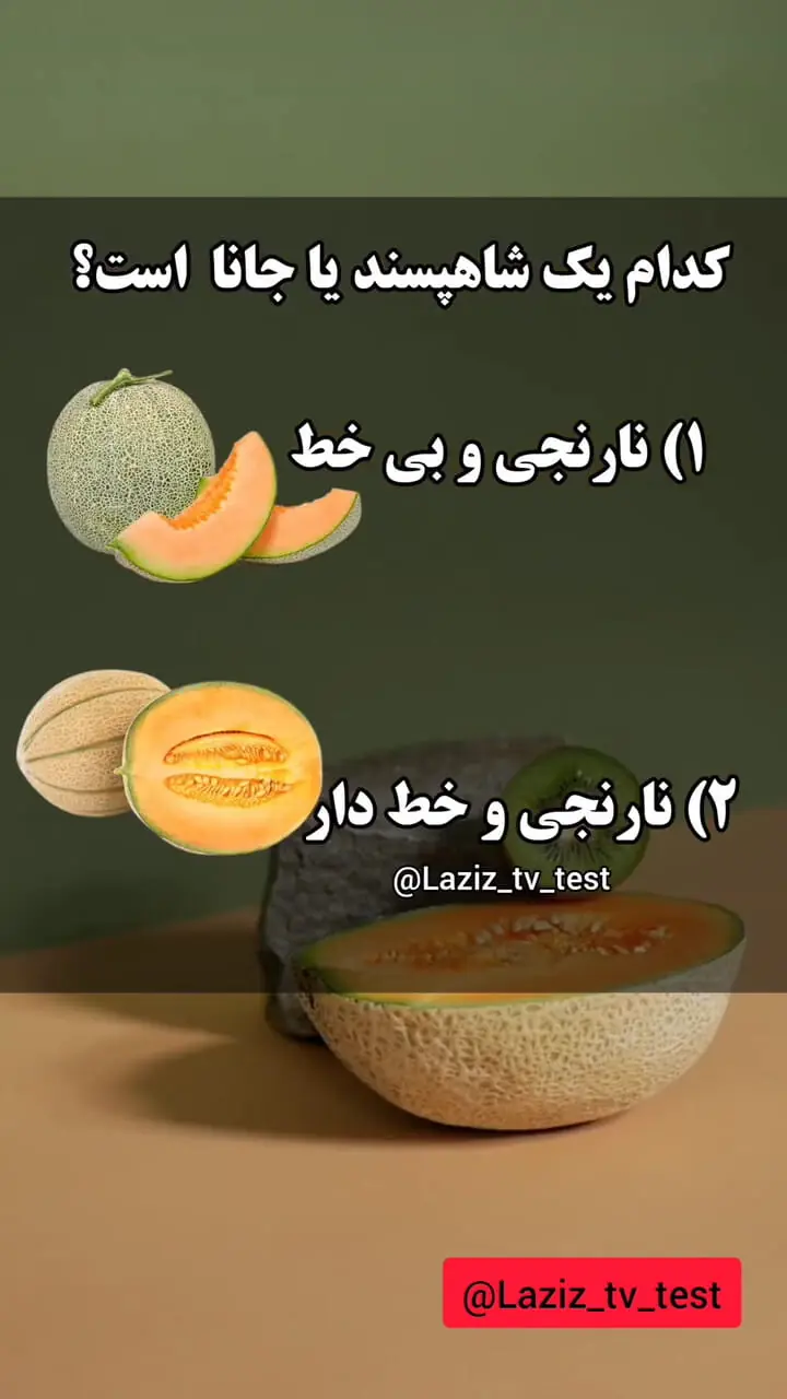 شاه پسند | خرید و قیمت شاه پسند + ارسال فوری در تهران شاه پسند | خرید و قیمت شاه پسند + ارسال فوری در تهران