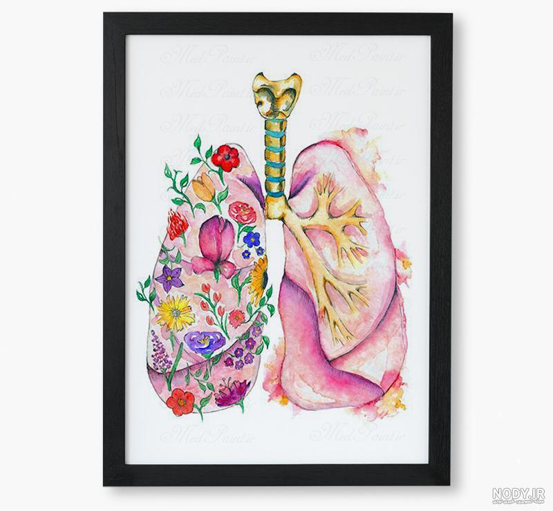 عکس رادیولوژی ریه سالم و ناسالم