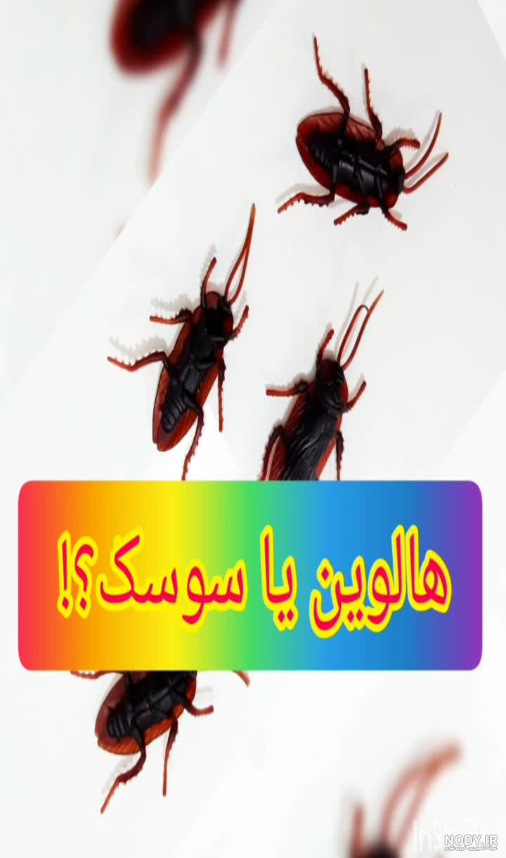 عکس سوسک مارمولکی