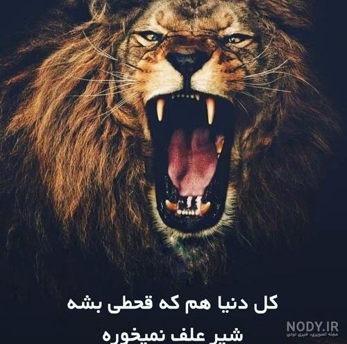 عکس شیر نوشته - عکس نودی