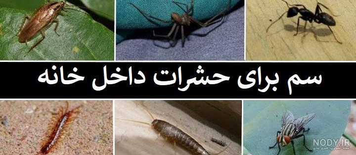 مارمولک مصنوعی – فروشگاه شیطونی 09120212145