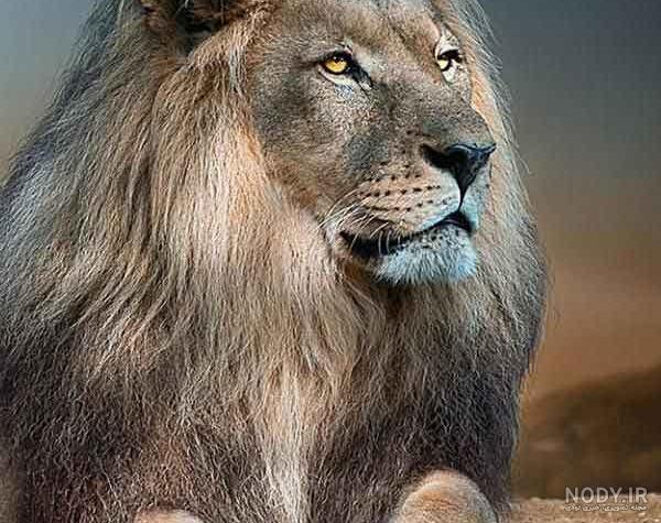 نگاه اسلام به حمایت از تغذیه با شیر مادر