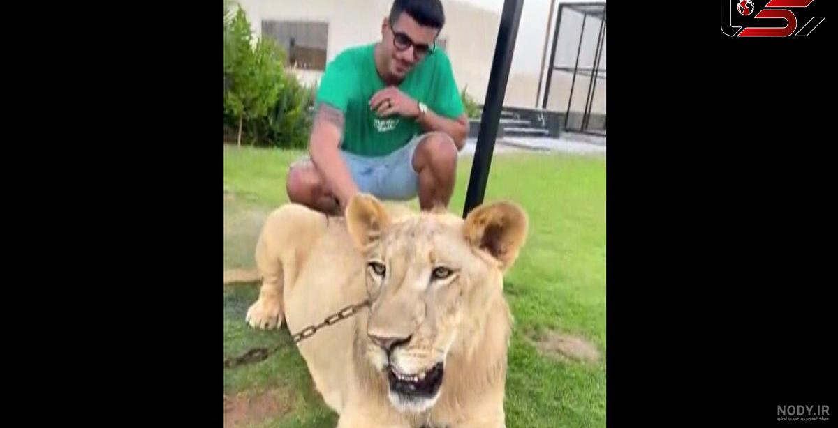 واکنش بازیکنان استقلال به نائب قهرمانی پرسپولیس واکنش بازیکنان استقلال به نائب قهرمانی پرسپولیس