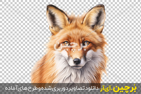 پس زمینه روباه قرمز و آبی - اِم والپیپر