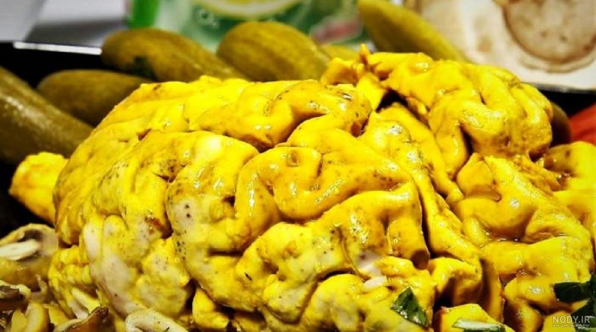 کپلک جگر گوسفند، علائم و راه های درمان آن کپلک جگر گوسفند، علائم و راه های درمان آن