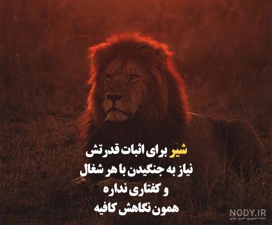 گاهی وقتا ... شیرها... - Like it and smile لایک بزن و بخند | Facebook