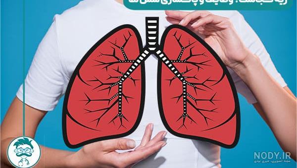 گوسفند – مانا طب بیستون گوسفند – مانا طب بیستون