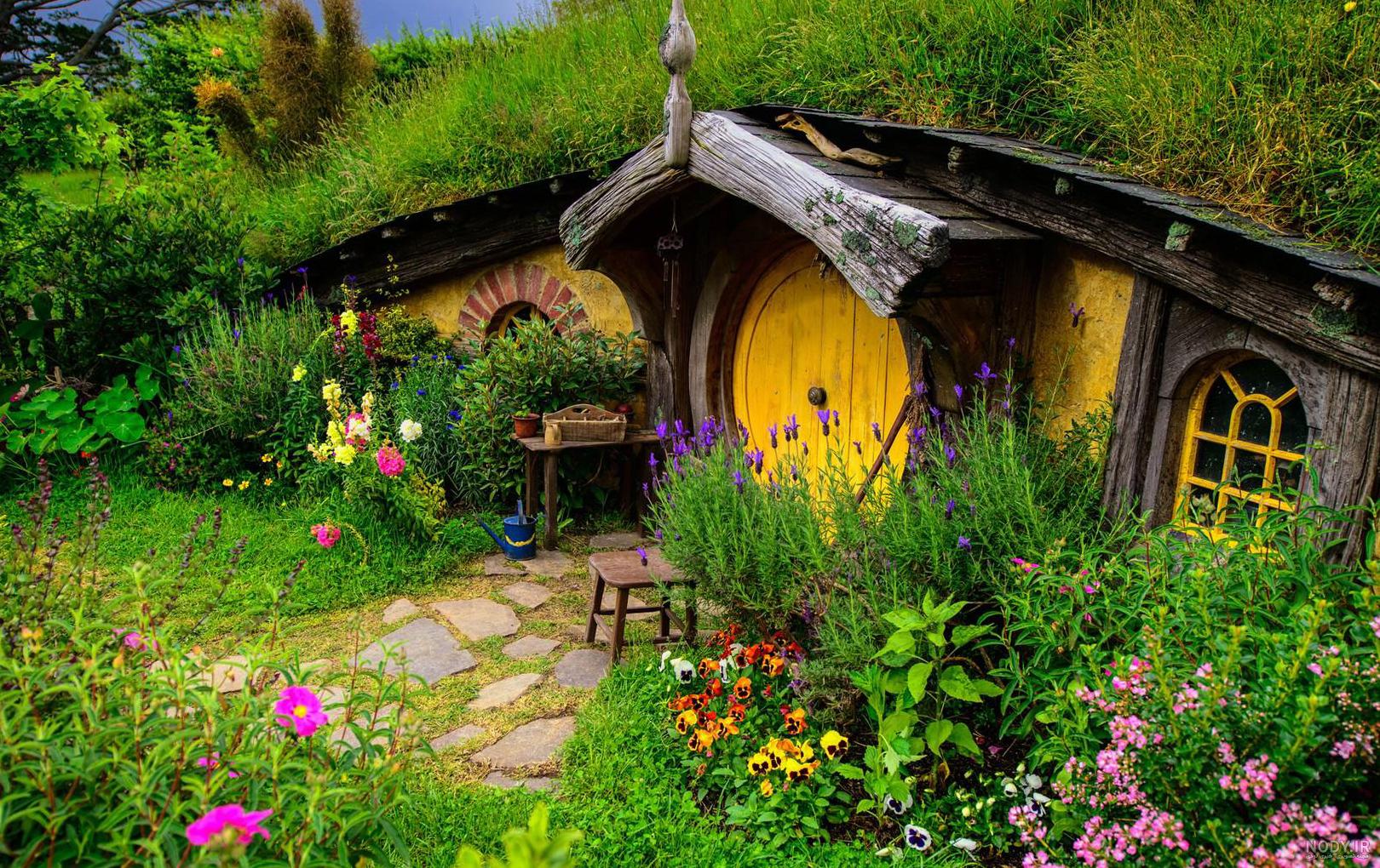 عکس تابستان زیبا