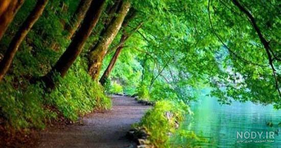 عکس تابستان زیبا