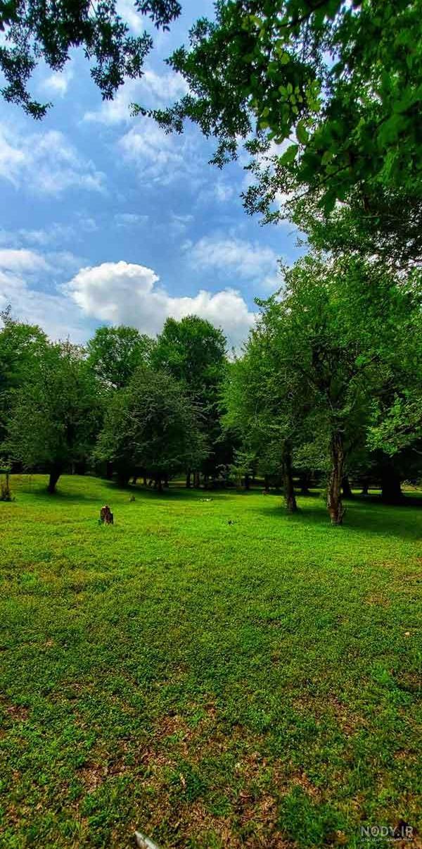  عکس تابستان واقعی