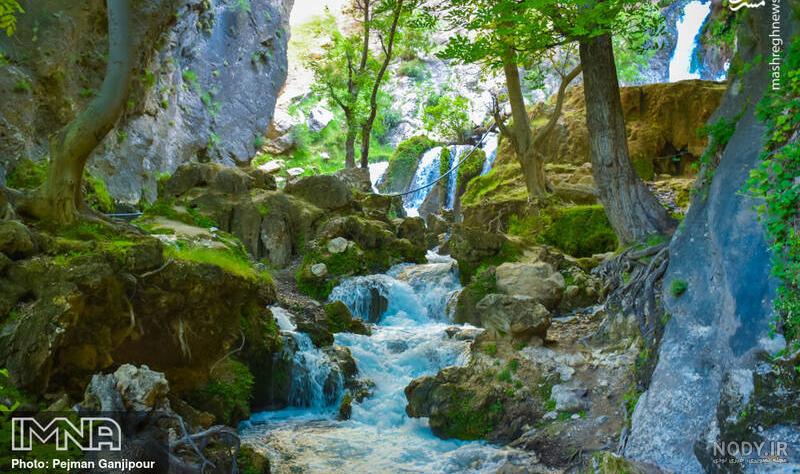 عکس تابستان زیبا