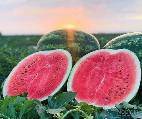  عکس تابستان واقعی